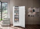 холодильный шкаф с морозильной камерой «Blu RoX